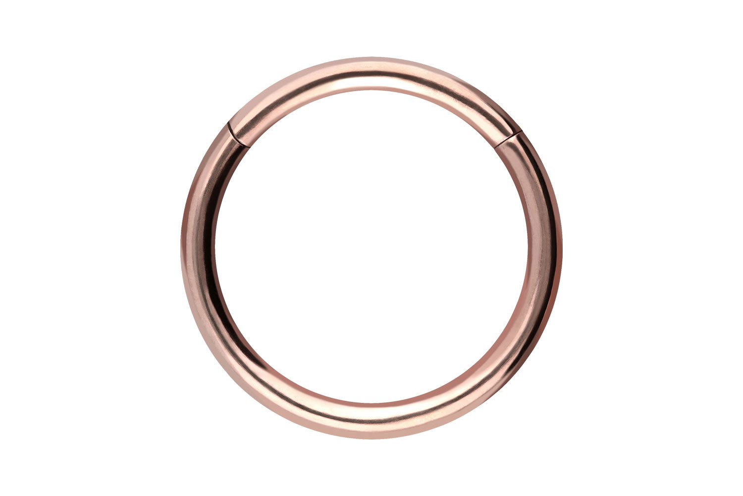 Chirurgenstahl Segmentring Clicker Piercing